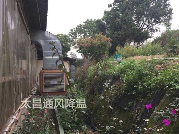 餐廳太熱？環(huán)?？照{(diào)為你送清風(fēng)
